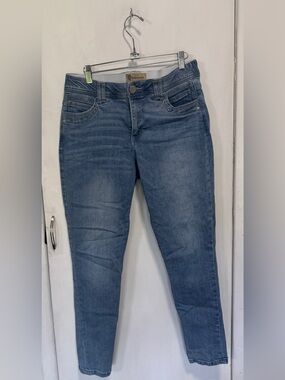 Democracy Slim Fit Blue Skinny Jeans